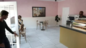 Home Trainer – Domestic Corruption